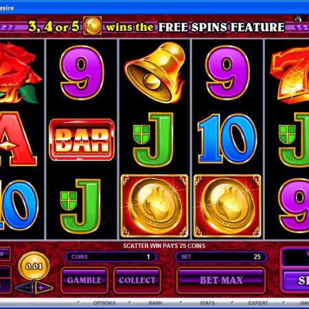 Slot Machine Online: cosa sono le combinazioni vincenti