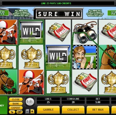 Impara a giocare alla Video Slot “Sure Win”