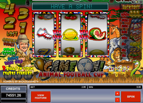 fruit-machine